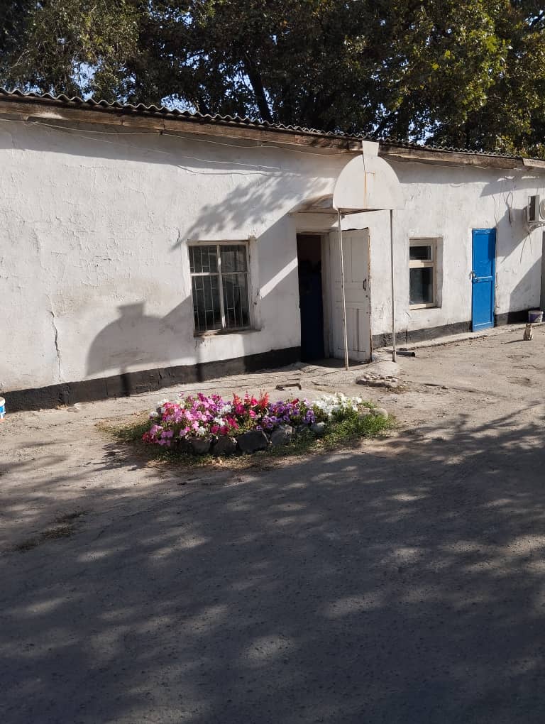 WhatsApp Image 2025-09-08 at 10.44.47 (1).jpeg