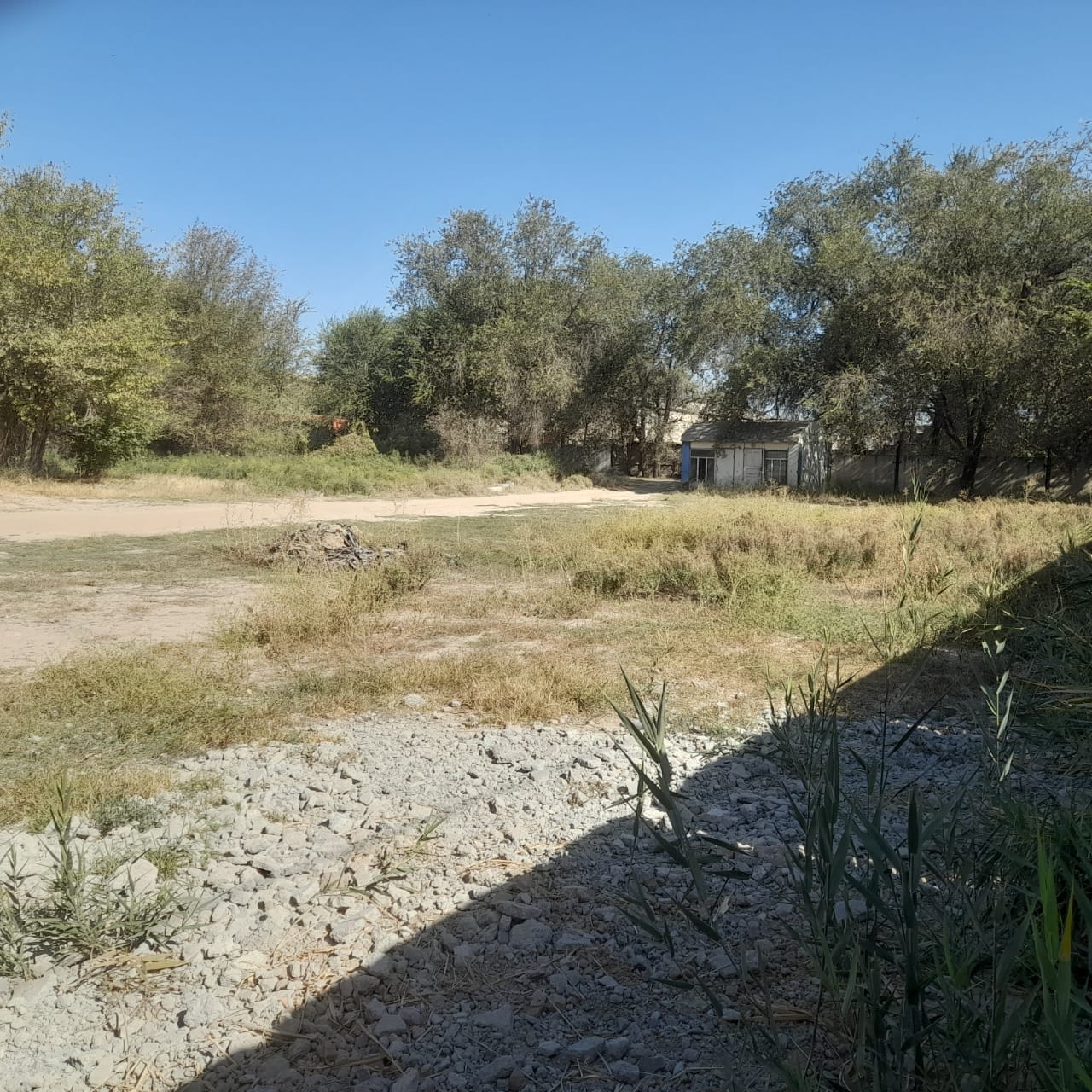 2 foto 2000 kv.m.jpeg