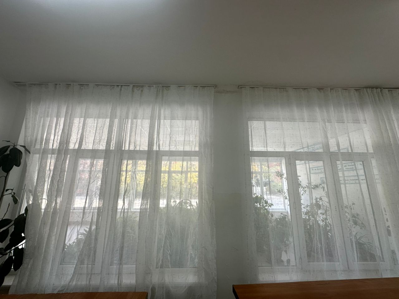 WhatsApp Image 2025-10-17 at 14.44.32 (2).jpeg