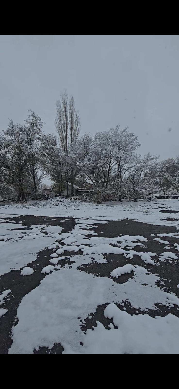 WhatsApp Image 2025-12-16 at 16.28.47.jpeg