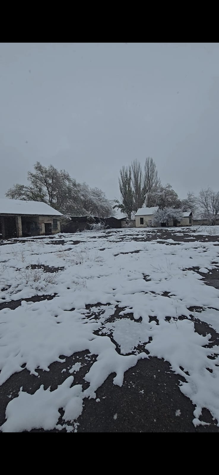 WhatsApp Image 2025-12-16 at 16.28.46 (1).jpeg