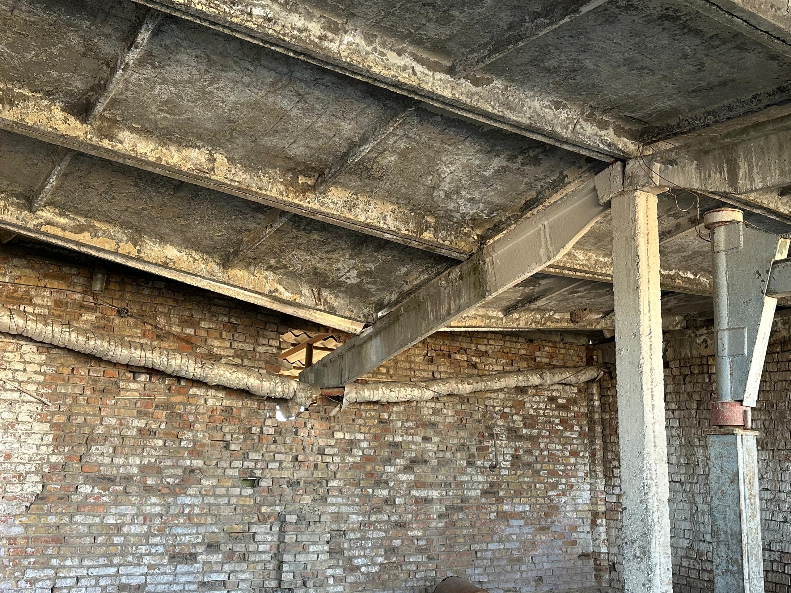 WhatsApp Image 2025-12-03 at 10.33.47 (5).jpeg