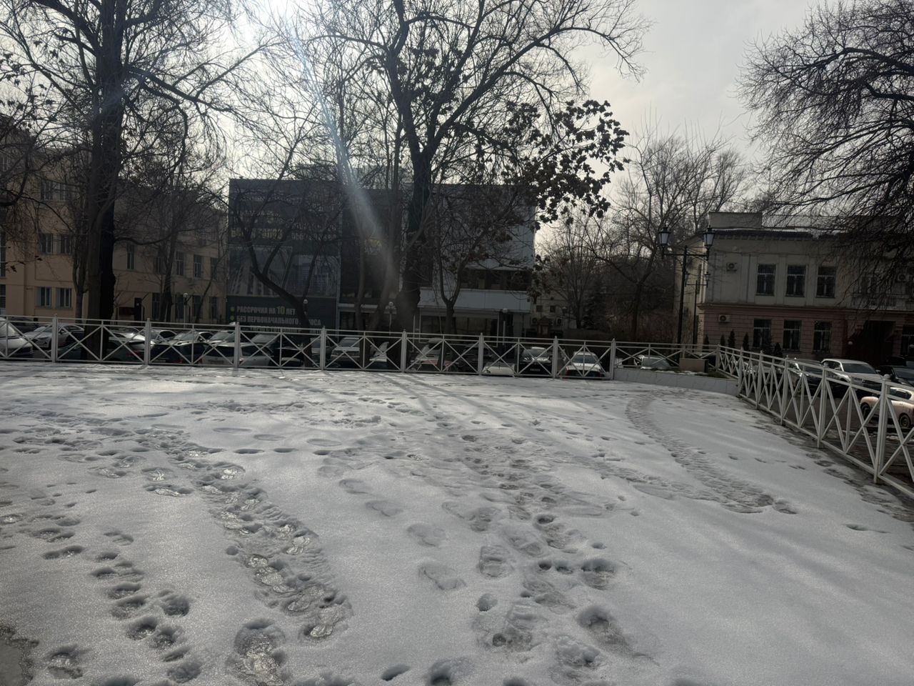 WhatsApp Image 2026-01-30 at 14.51.40.jpeg