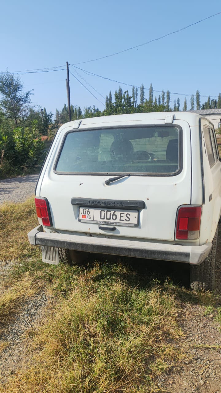 NIVA 006 (2).jpeg