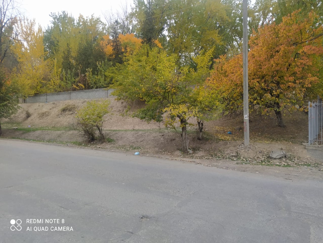 Risunok11.jpg